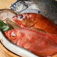 京都・舞鶴の漁港より仕入れた地元の魚を使った、旬の逸品はいずれも美味。北海道や長崎県など全国各地からも仕入れを行っており、京都エリアではお目にかかれない、希少な魚がメニュー入りすることもあるとか。