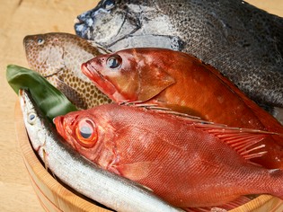 地元舞鶴や、北海道～九州より仕入れた新鮮な魚