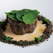 能登の川端さんのレンコンを鋳物鍋で焼いてもっちりとした食感を引き出し、カチョカバロとオーム社のクリーム、ジュ・ド・トリュフでつくったソースをかけ、酸味のアクセントとしてナスタチウムの葉を並べた一品。