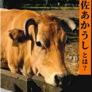 日本の肉用牛である和牛4品種
(黒毛和種、褐毛和種、日本短角種、無角和種)のうち、高知県内だけで改良されている褐毛和種&middot;高知系の通称が「土佐あかうし」です。