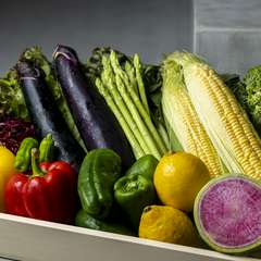 料理に命を吹き込む旬野菜