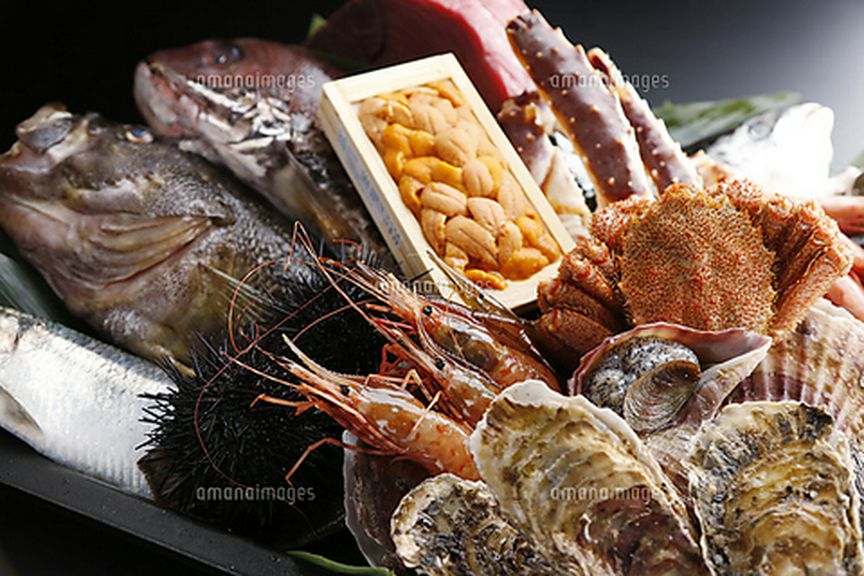 料理?