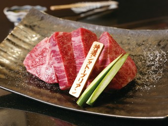 【限定10食】「名物」特選シャトーブリアン