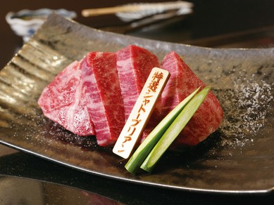 【限定10食】「名物」特選シャトーブリアン