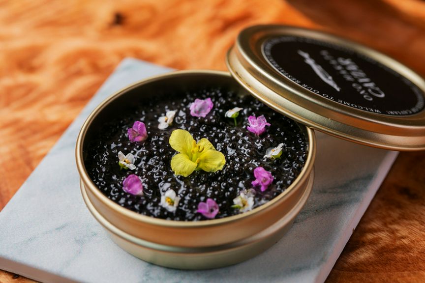 乾杯とメッセージプレートが付く、記念日向けコースが大好評!