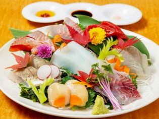 目でも舌でも楽しむことができる『旬魚のお造り8種』