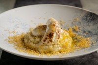 ふくの白子のちょっと贅沢ないただき方。トラフグの白子を軽く焼き、ミモレットチーズをかけた本格派リゾット。