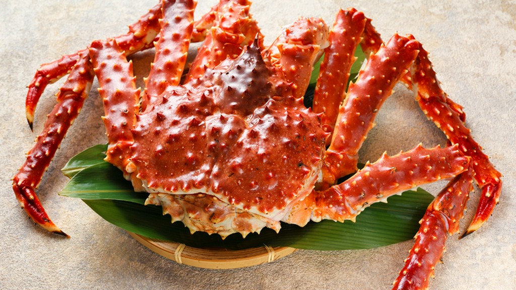 洗練されたおしゃれな料理とともに