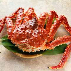 洗練されたおしゃれな料理とともに