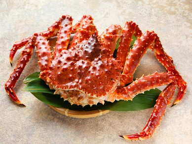 女子会におすすめ