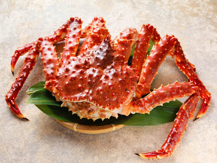 เชฟคัดสรรมาอย่างดี! อิ่มอร่อยกับชาบูชาบูปูหิมะ [คอร์สปูสุดหรู] 7,980 เยน รวมภาษี