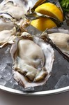 生牡蠣単品の産地・種類・価格は別紙オイスターリストをご覧ください。
※牡蠣の産地、種類は季節により変わります。
※産地や天候により、牡蠣の大きさ等異なる場合がございます。あらかじめご了承くださいませ。