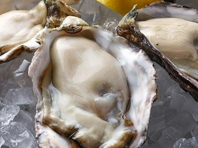 旬の生牡蠣毎日入荷しております