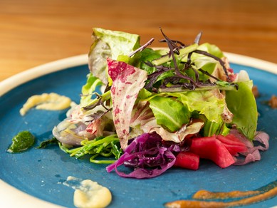 旬の野菜の持つ存在感を楽しむ『30種の野菜と魚介のサラダ』