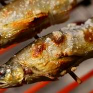 鮎の串焼きは、テイクアウトとしても提供可能です。自宅や外出先でいただく鮎もまたオツなもの。お土産コーナーも充実しており、家族・友人への贈り物や自分への、ちょっとしたご褒美としても最適です。