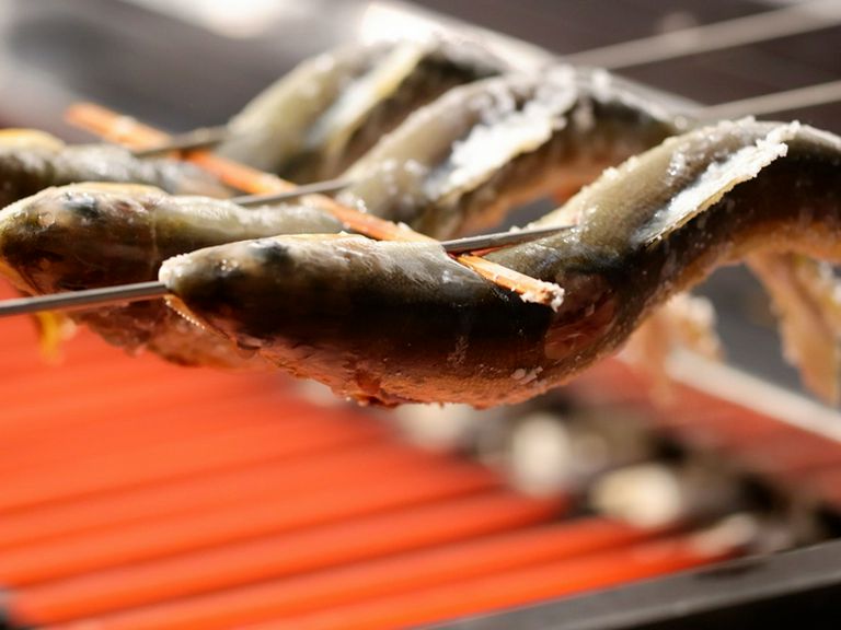 鮎や鰻と味わいたい一杯。お店自慢の『鮎燗』も要チェック