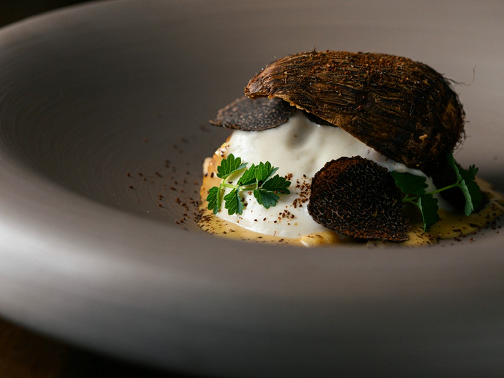 畑の柔らかい土を想起させる『里芋/カフェ/帆立』