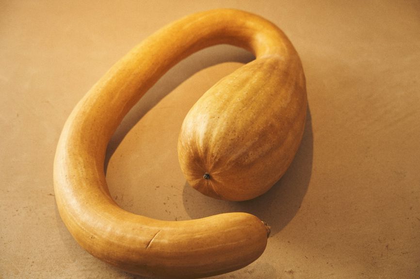 料理の原点に目を向け、食材から自分で選ぶ