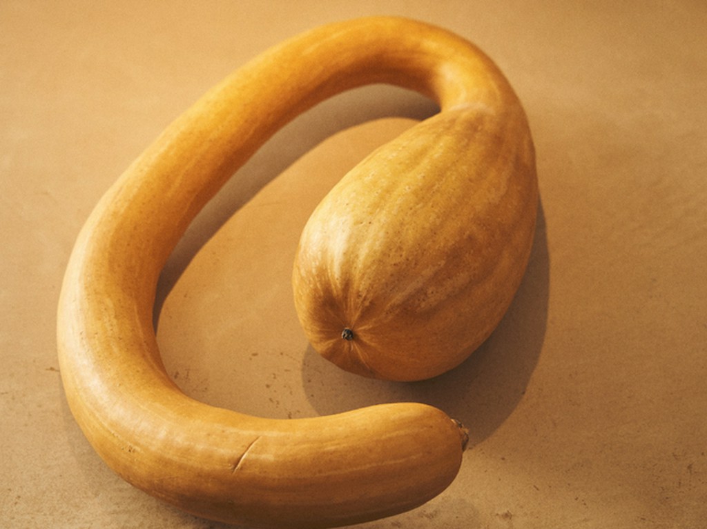 料理の原点に目を向け、食材から自分で選ぶ