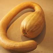 「毎日豊洲に行き、食材を選んでいます。自分で選ぶことで、仕上がりも変わります」と野田氏。野菜やハーブをお願いしている千葉県の吉野ハーブファームには毎日連絡を取り合い、頻繁に足を運んでいるそう。