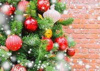 【12/23～12/25 限定♪】1ドリンク付き クリスマスコース(2名様～6名様迄／2日前迄要予約) 