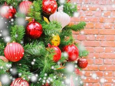 【12/23～12/25 限定♪】1ドリンク付き クリスマスコース(2名様～6名様迄／2日前迄要予約) 