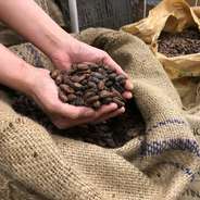 Bean to Barとは、カカオ豆の選別から製造・販売までを一貫して行う新しいチョコレートづくり。荒削りながらも強い可能性を感じた試作をきっかけに、その驚きと奥深さを多くの人に届けたいという想いから、新たなチョコレートの世界を探求し始めました。