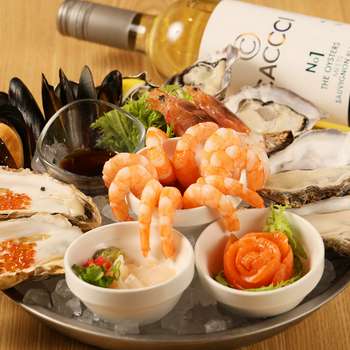 オーズプランツ　青典牡丹　カキコ オーズプランツ 青典牡丹 カキコ 観葉植物