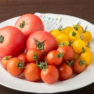 流通間での追熟を逆算し、早めに摘むのがセオリーである一般的なトマトに対して、「八百ちゃんトマト」では、最もおいしい瞬間を見極め収穫。鮮度も旨みも抜群な、当日摘みのトマトを届けています。