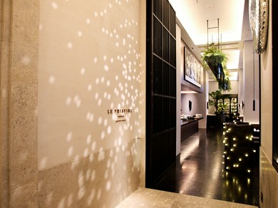 5つのエレメントに基づく新感覚の“没入型ガストロノミー”