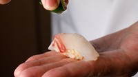  厳選おまかせコース(小料理2品＋茶碗蒸し＋お味噌汁付き)