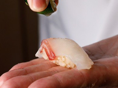  厳選おまかせコース(小料理2品＋茶碗蒸し＋お味噌汁付き)