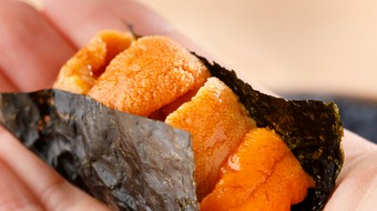 厳選おまかせコース