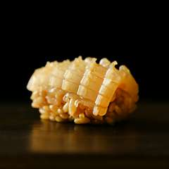 赤酢のシャリと特製醤油。その時々の味わいを愉しむ『イカの握り』　