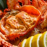 北海道の海の幸を中心に、全国各地から届く旬魚や旬菜たち