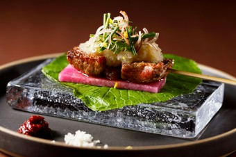 ポン酢風味の大根おろしでさっぱりと味わう『カイノミの串焼き』