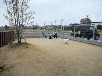 屋外には愛犬同伴可のドッグガーデンもあり
