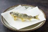 天ぷらをより気軽に楽しめる『おまかせ　五種』