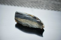 光り輝く粋なひと口『小肌の握り』