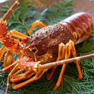 ～季節の食材と雪室熟成和牛～

ネット予約は３日前まで、それ以外はお電話で承ります。