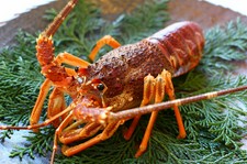 ～季節の食材と雪室熟成和牛すき焼き～

ネット予約は３日前まで、それ以外はお電話で承ります