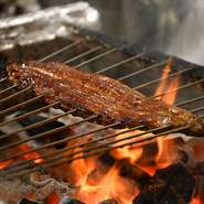 信頼できる業者より仕入れた国産雌のうなぎを、炭火で焼き上げるスタイル。炭がもたらす香ばしさと、強火によって生まれるしっとりした質感が、素材の魅力をまっすぐ伝えます。