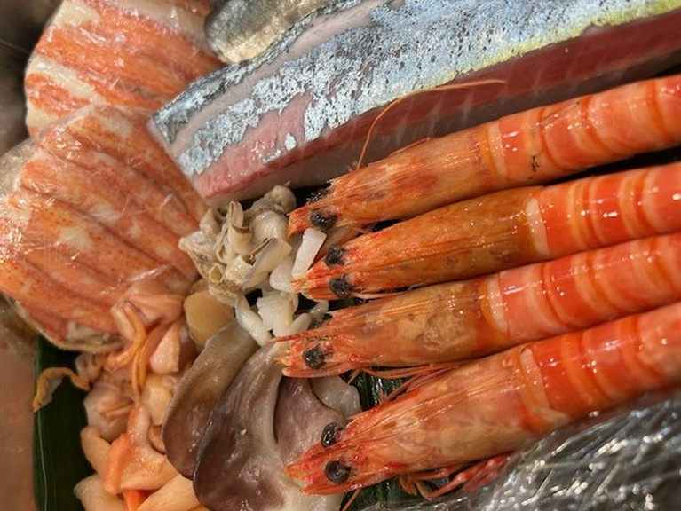 希少食材を存分に満喫する贅沢な体験『「陽」コース』