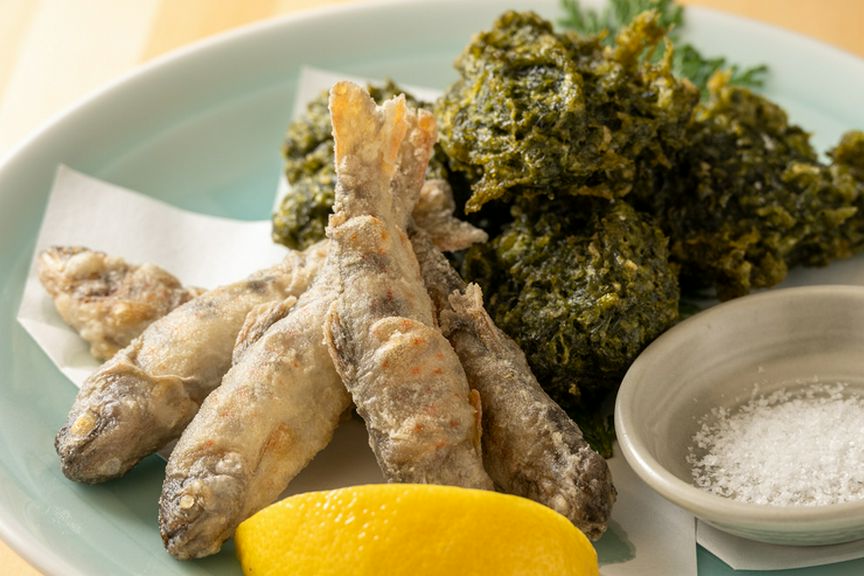 高知の恵みを味わう地産地消の店