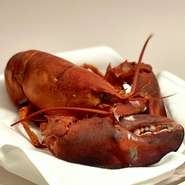 活きたオマールはグリル、ボイル、グラタンなどさまざまな調理スタイルでおいしく味わえる秀逸な食材。横浜産の「丸大根」は生でも食べることができ、ポタージュスープにしてもおいしいのが特徴です。