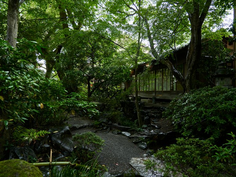 遠来の客をもてなす接待、家族の祝い事や友人との会食に人気