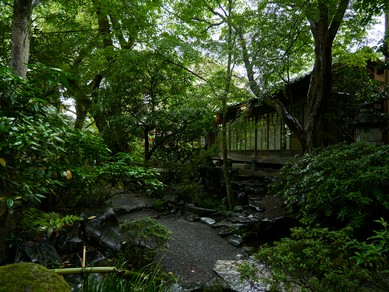 遠来の客をもてなす接待、家族の祝い事や友人との会食に人気