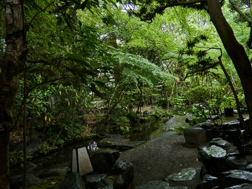 春はつつじ、秋は紅葉など季節の庭を愛でられる