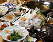 肉厚のとらふぐを、余すところなく食べられるように調理を行う『とらふぐコース』