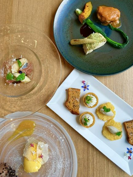 平日の贅沢、自然の恵みを味わうランチ『“Porte” 〜五味への扉〜（平日ランチ限定）』